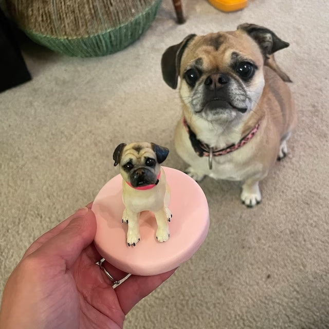 ⭐︎オーダーメイド⭐︎うちの子マスコット オーダーメイド】うちの子 写真から可愛いフィギュアに お名前入り